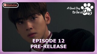 A Good Day To Be A Dog Episode 12 Preview & Spoiler [ENG SUB]