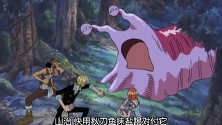 The Straw Hats were played by a bird in one episode! A hilarious scene!