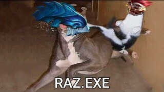 Raz.EXE Nhưng Tôi Không Có Skin Raz Muay Thái