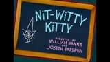 Tom & Jerry S03E10 Nit-Witty Kitty