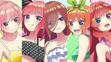 the quintessential quintuplets amv There's Nothing Holdin Me Back De : Shawn Men