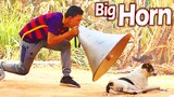 Big Horn vs Prank Dog Very Surprise Funny - Try Not To Laugh Prank Dog Just For Fan - Must Watch Now