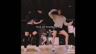 meet BLACKPINK