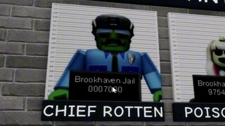 secret brookhaven roblox