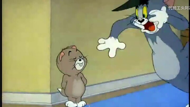 【Tom and Jerry/Queen & MJ】ชีวิตต้องมีอะไรมากกว่านี้