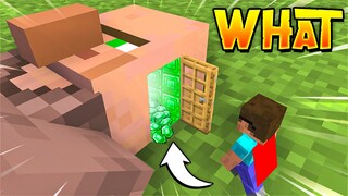 Minecraft But I Can Go INSIDE MOBS!