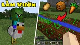 Minecraft Học cách làm Vườn - How To Farm ?