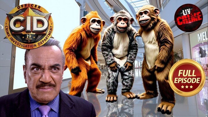CID Team  Monkey Gang. - CID -  Latest Episode - 3
