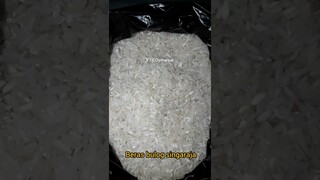 DYMA |ASMR RAW RICE EATING |Makan Beras | asmrrawriceeating| #asmrsounds  #asmr #shorts #mukbang(1)