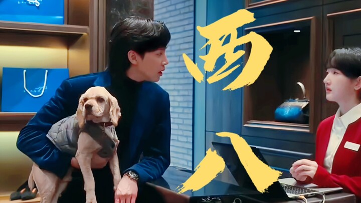 笑死了！谁说的全在俊的良心不多，但都给了狗！