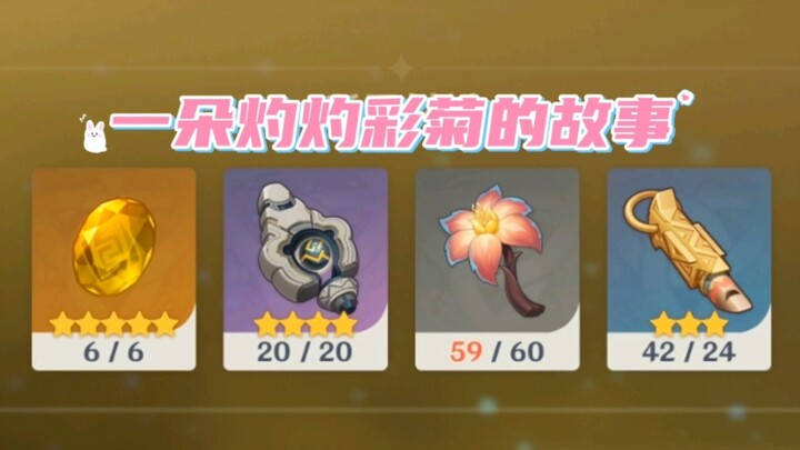 一朵灼灼彩菊的故事