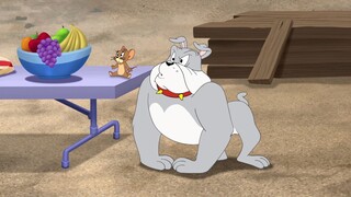 14.Tom and Jerry Hd Collection.