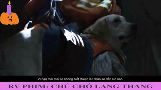 Chú chó anh hùng cứu 512 ngươi bị lạc - Chú Chó Lang Thang - Part 2#reviewphim#phimhay