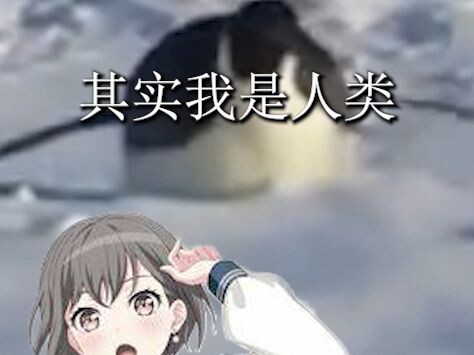 你知道吗，其实我不是一只企鹅🐧