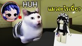 ลองใส่ชุดแมวห๊ะ (HUH) ความ...จึงบังเกิด! | Roblox 🏡 Cat HUH Brookhaven