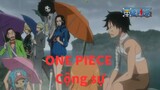 [ONE PIECE AMV] Đây là câu chuyện về hành trình trở thành những người cộng sự