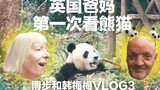 英国爸妈第一次看熊猫 博步韩梅梅的中国VLOG3