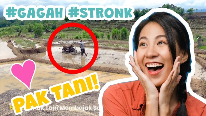 5 Menit Video Pak Tani Membajak Sawah