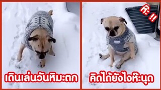 พามาเดินเล่นวันหิมะตก คิดได้ไงห๊ะนุด !! ( รวมฮาพากย์ไทย )