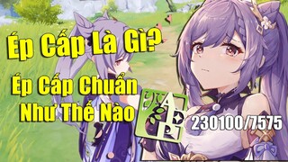 [Genshin Impact] Ép Cấp Là Gì?? Cách Ép Cấp Chuẩn Trong Genshin Impact