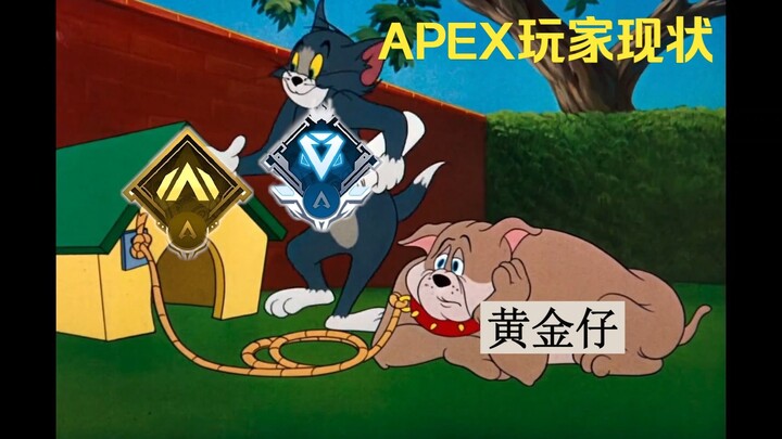 Current status of APEX players