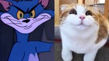 Tom & Jerry Episode 7 remix