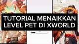 TUTORIAL MENAIKKAN LEVEL PET DI XWORLD