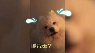 叫我来不摸我？那我走？