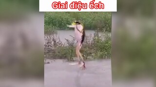 Giai điệu ếch