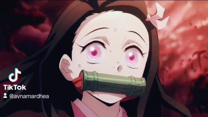 zenutsu 💕 nezuko