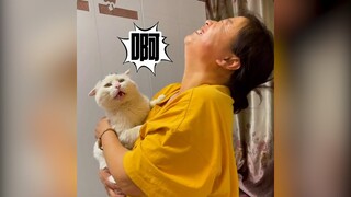 Hát cho nó nghe mà thái độ quá | MYPET