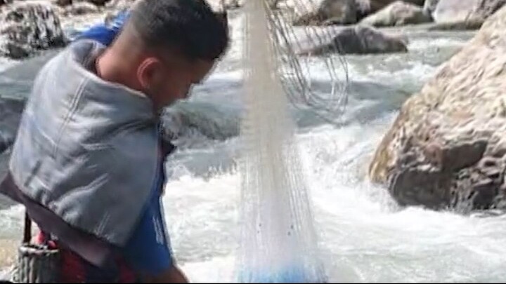 Cast Net Fishing in Nepal | Himalayan Trout Fishing in Nepal | Asala Fishing |