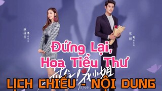 Đứng Lại, Hoa Tiều Thư [LỊCH CHIẾU - NỘI DUNG]