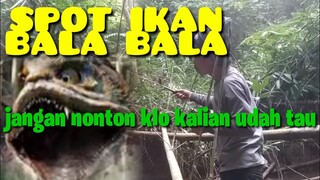 MANCING TENGAH HUTAN DAPET IKAN BALA BALA