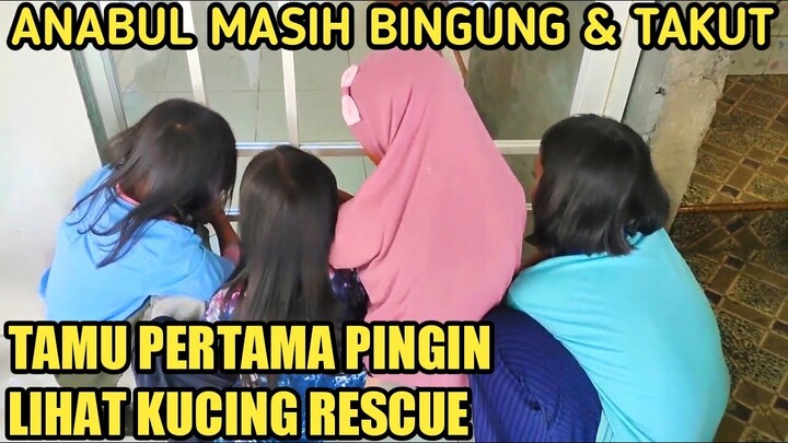 KUCING ENDERIZA BOYONGAN BAWA ANABUL KE RUMAH BARU