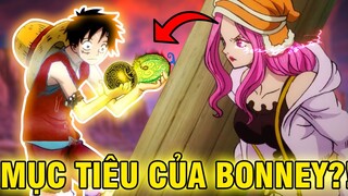 MỤC TIÊU CỦA BONNEY?! | NHỮNG NHÂN VẬT CHƯA RÕ MỤC ĐÍCH THẬT SỰ TRONG ONE PIECE