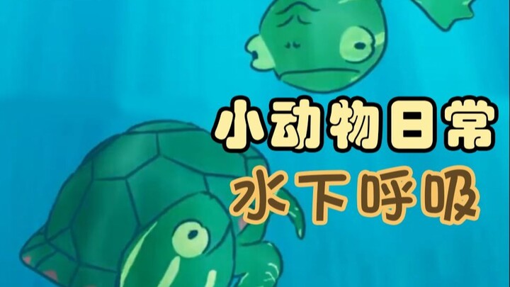 水下呼吸🐢🍑🫧-【小动物日常 | Natural Habitat Shorts】中英双字
