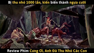 [Review Phim] Bị Thu Nhỏ 1000 Lần, Kiến Biến Thành Ngựa Cưỡi, Ong Biến Thành Máy Bay Phản Lực