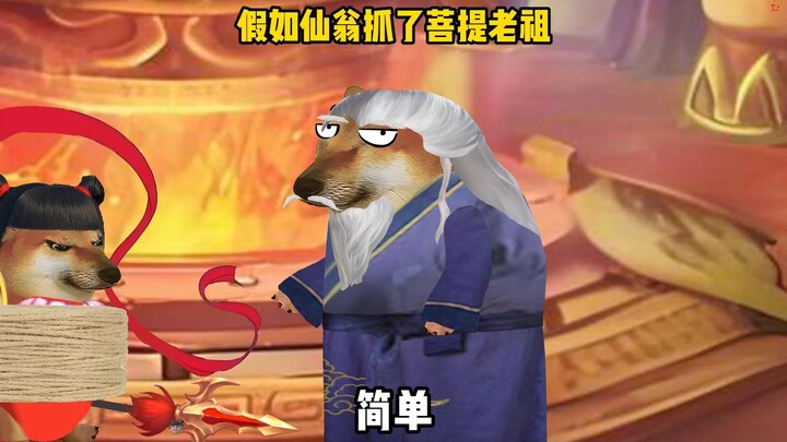 南极仙翁：不是这个师父是另一个师傅啊！