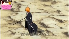 Ichigo Vs Aizen Finale (Tagalog Dub)