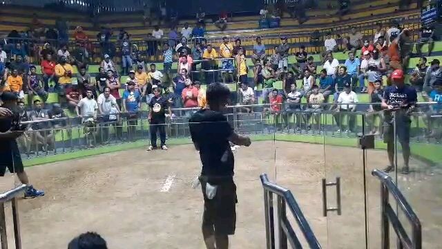 wpc elims SAMPARAK BAVKYARD 2 DWL