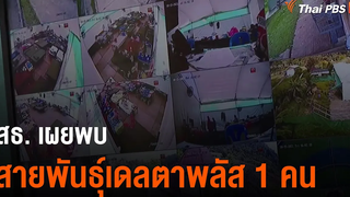 สธ เผยพบสายพันธุ์เดลตาพลัส 1 คน (26 ตค 64)