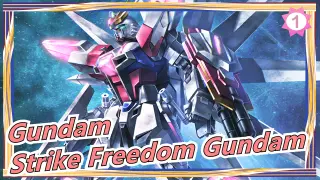 [Gundam] Strike Freedom Gundam| Japanese Youtuber Test [Kasamatsu's Gundam Video]_1