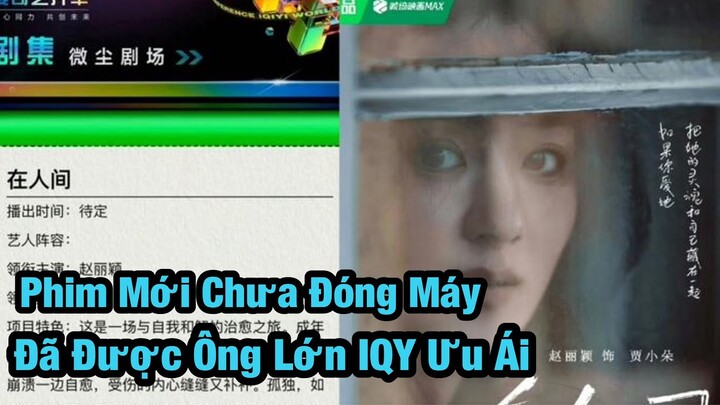 Phim mới của Triệu Lệ Dĩnh chưa chiếu đã được 'ông lớn' IQY ưu ái, dự đoán sẽ lại là một siêu phẩm