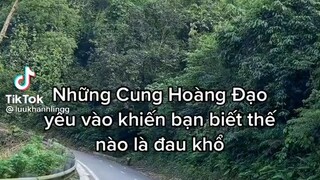 tiktok 12 cung hoàng đạo