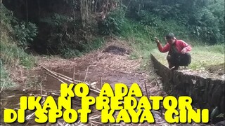 CARA MANCING DI GOT, KO ADA IKAN KAYA GINI NYA..!!