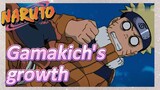 Gamakich's growth