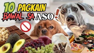 MGA PAGKAIN NA HINDI DAPAT KAININ AT DELIKADO PARA SA KALUSUGAN NG MGA ASO | Tenrou21