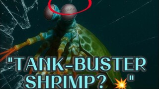 "This Crustacean Punches HOTTER THAN THE SUN... And We’re Obsessed."