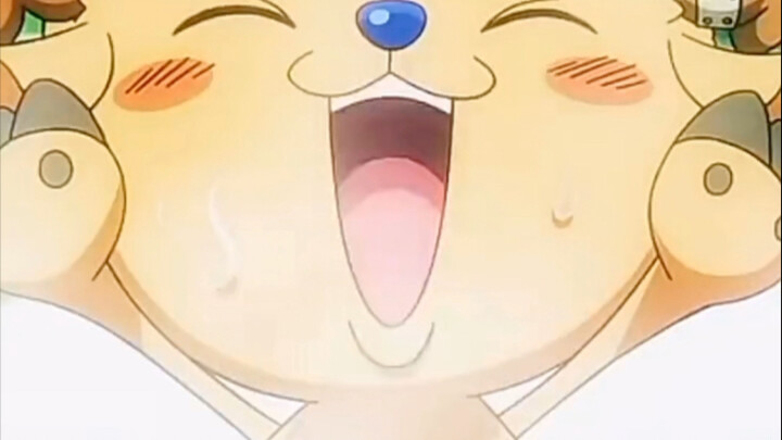 So the one from Wano Country that Sanji has always liked is a girl, right?